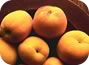 Apricots