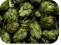 Artichokes