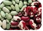 Shell Beans