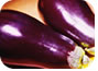 Eggplant