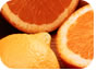 Honeybells