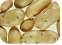 Potatoes