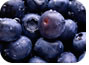 Blueberries